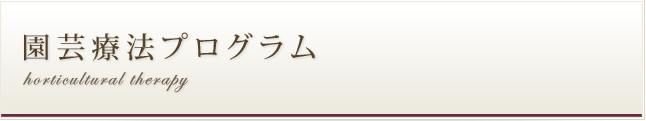 園芸療法プログラム