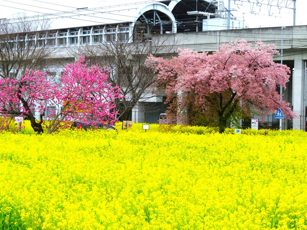 イベントアクティビティ2